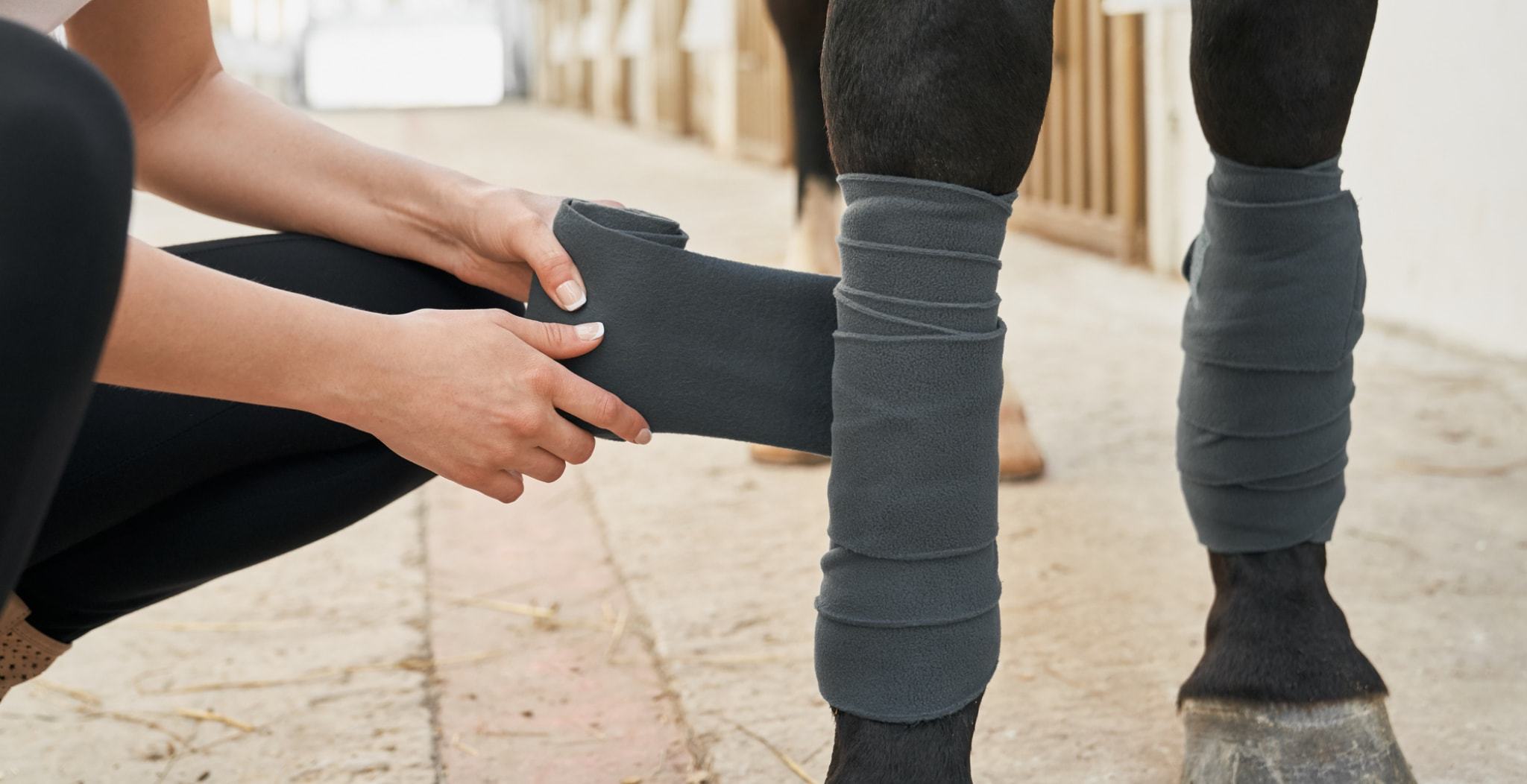 EQU StreamZ Magnetic Horse Bands Information Directory on Windgalls. Supporting windgalls in horses with EQU Streamz magnetic therapy bands.