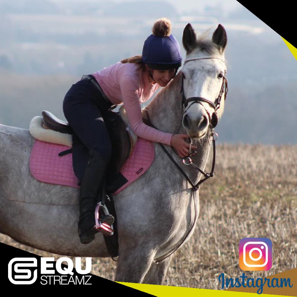 EQU StreamZ Friends Image. Friends who endorse the magnetic horse bands whether for mobility, inflammation, energy levels, pain relief, windgalls, navicular, arthritis or for daily joint care and wellbeing.