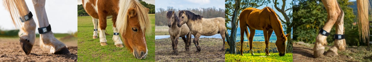 EQU Streamz magnetic horse bands for natural joint care and wellbeing in horses and ponies.