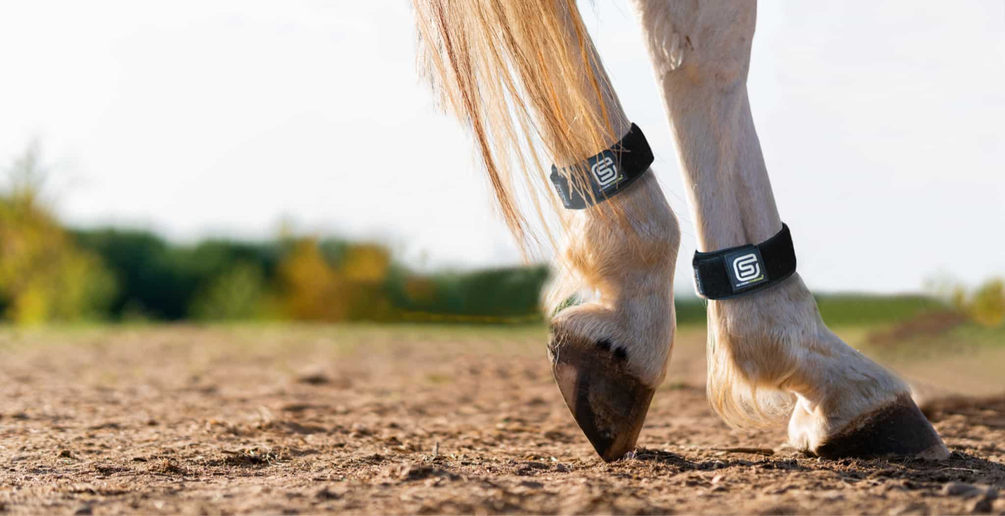 EQU Streamz magnetic horse bands for natural pain relief and recovery. Magnetic horse wraps suitable for 24x7 use and turnout.