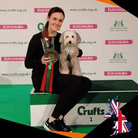 Ashleigh Butler DOG StreamZ Endorsed for recovery and rehabilitaion as well as joint care and wellbeing. Magnetic dog collars used by leading dog agility handlers accross the world who use the streamz advanced magnetic collars on their agility dogs.