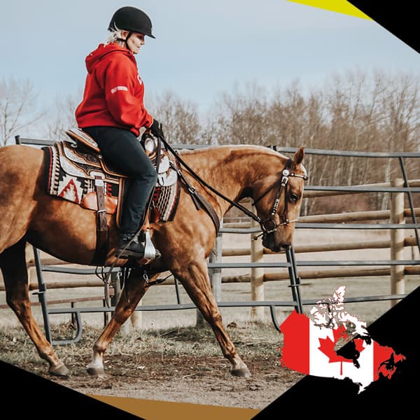 Julie Moorcroft world champion. EQU StreamZ Magnetic Horse Bands endorsed by showjumping, dressage, barrel racing, eventing, racing, more. Natural joint care and wellbeing for horse and suitable for 24/7 use including through turnout. Out now in USA.