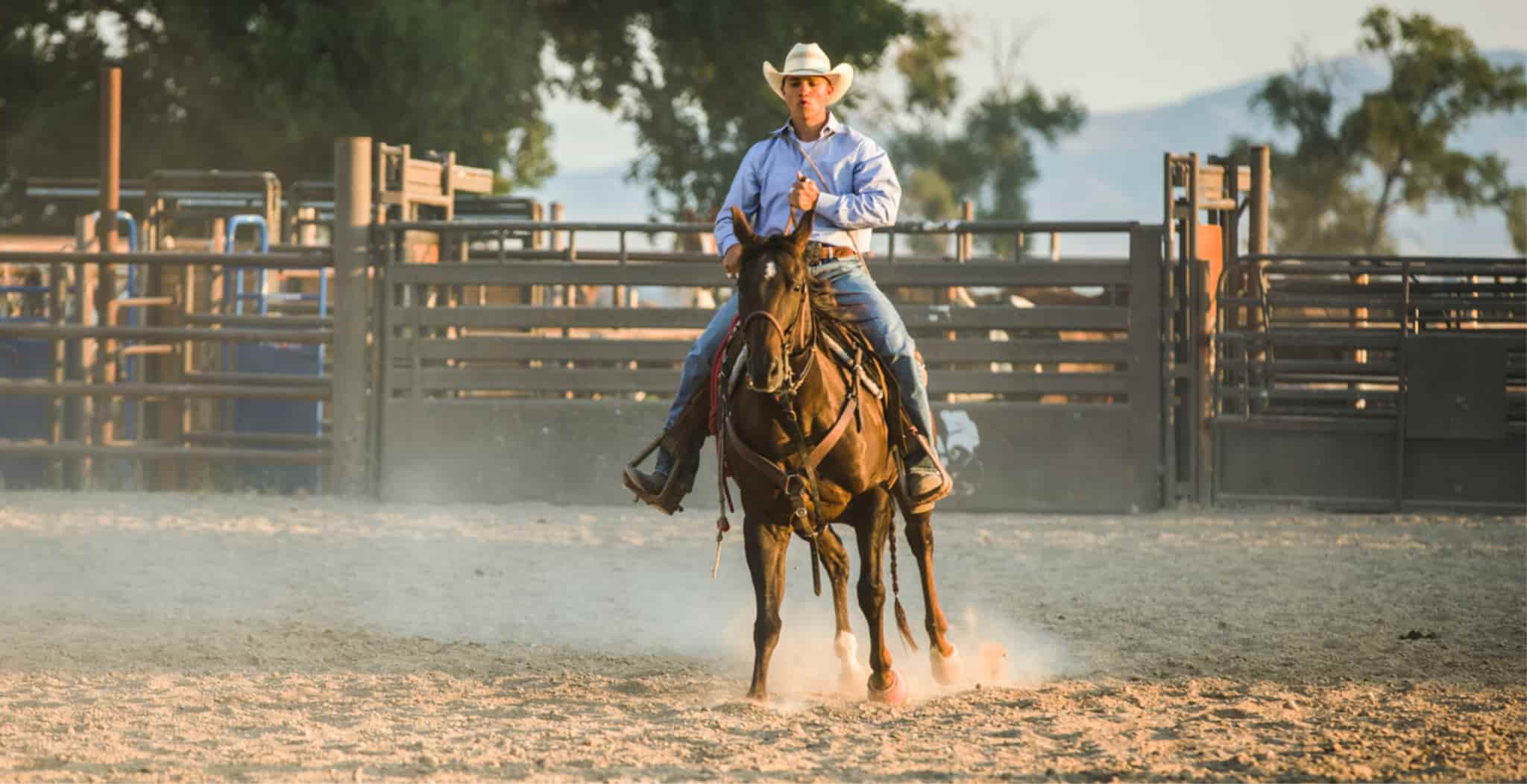 The Discipline of Campdrafting | A Fusion of Skill, Tradition, and Rodeo