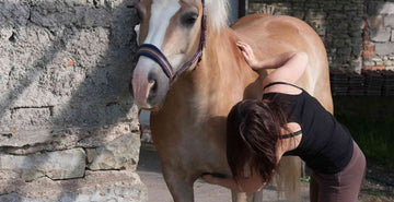 Top 10 Benefits of Equine Massage Therapy