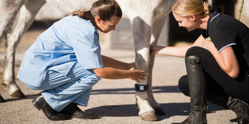 EQU Streamz bands alongside tape to protect horses legs and bands