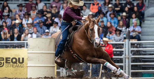 Commonly Used Tack in Barrel Racing