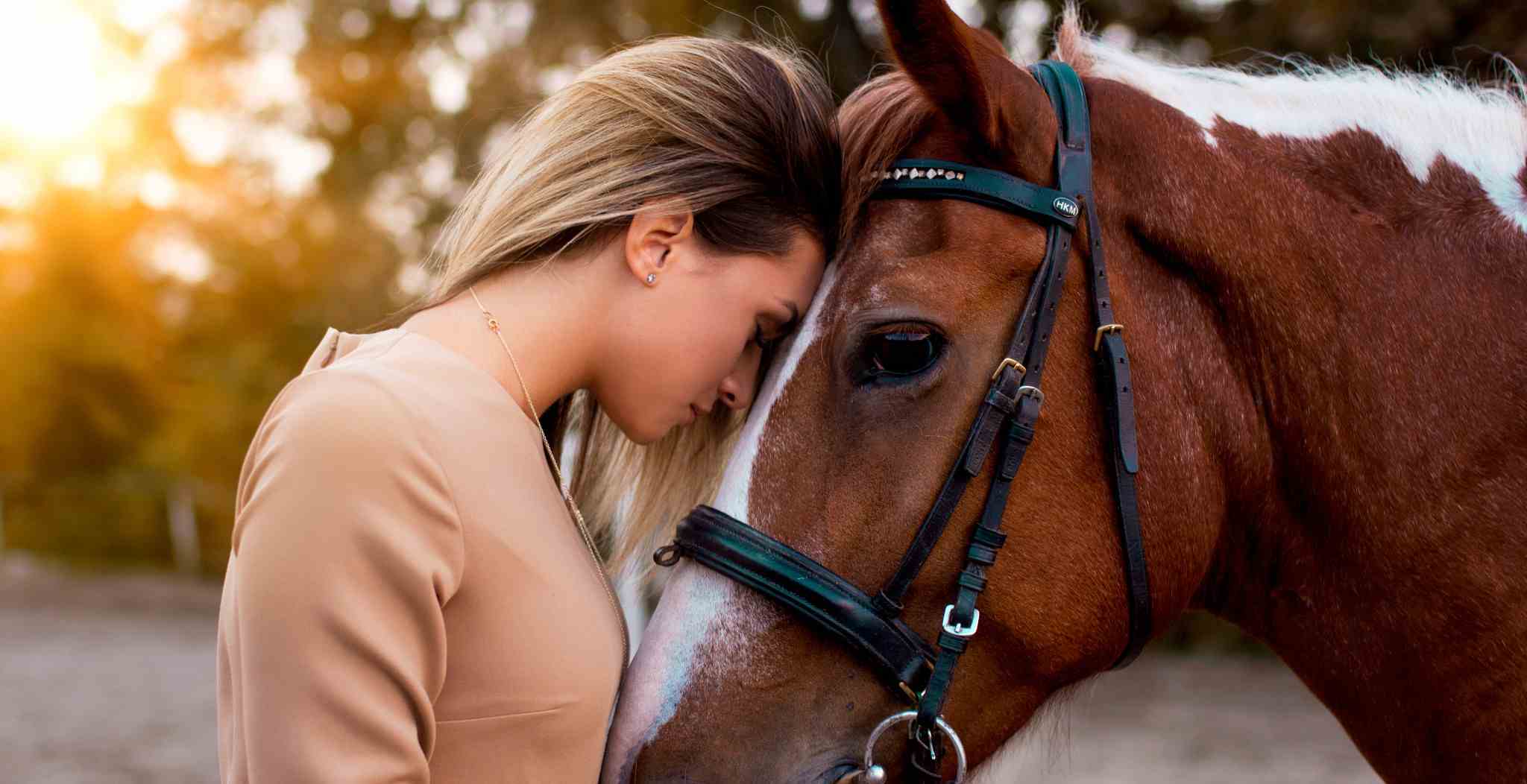 Optimising Performance in Horses (Guide for All Horses)