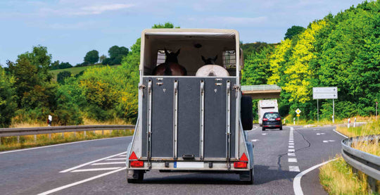 101 Guide on Horse Trailering (2021) | Checklist for buying the trailer that suits you