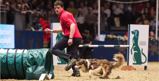 DOG StreamZ feedback from Anthony Clarke Agility Professional. Anthony is part of Team GB and Team England Agility and a world-renowned trainer and judge.