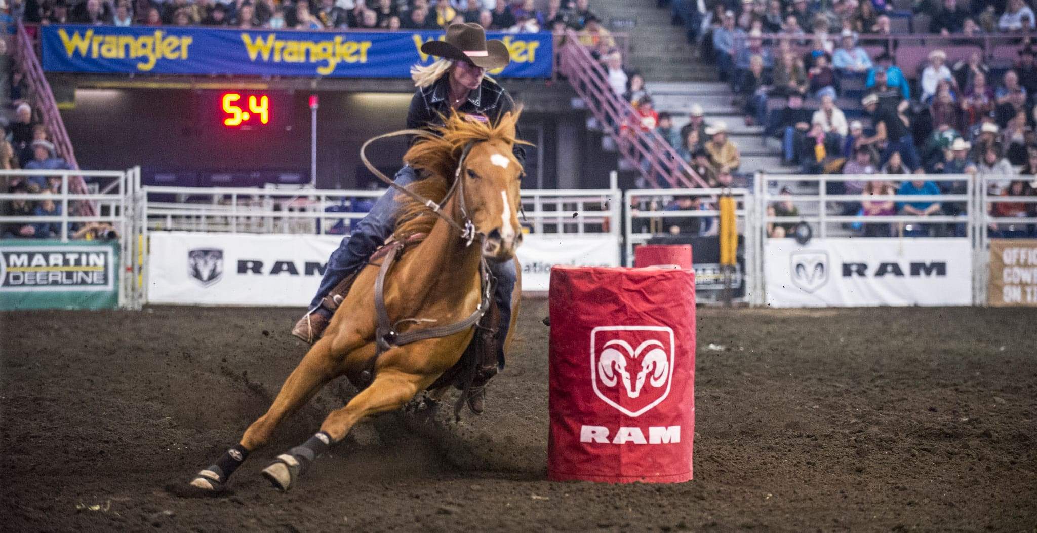 Barrel Racing Injuries Barrel Racing Horses | Common Injuries & Treatments – StreamZ (USA)