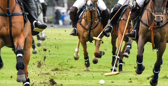 Polo horse susing EQU Streamz advanced magnetic bands for recovery and rehabilitation used by top polo riders around the world