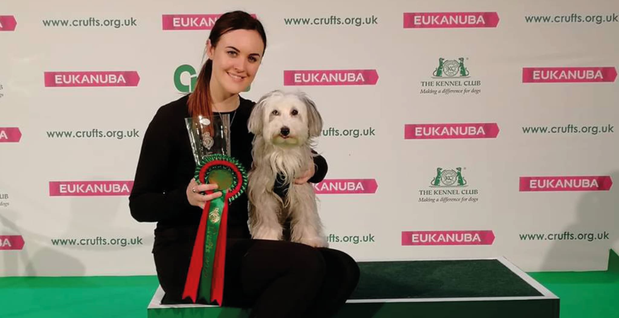 Ashleigh butler dig agility endorses dog streamz collars used by pudsey
