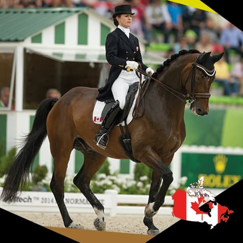 Belinda Trussell Canada. EQU StreamZ Magnetic Horse Bands endorsed by showjumping, dressage, barrel racing, eventing, racing, roping and more. Natural joint care and wellbeing for horse and suitable for 24/7 use including through turnout. Out now in USA.