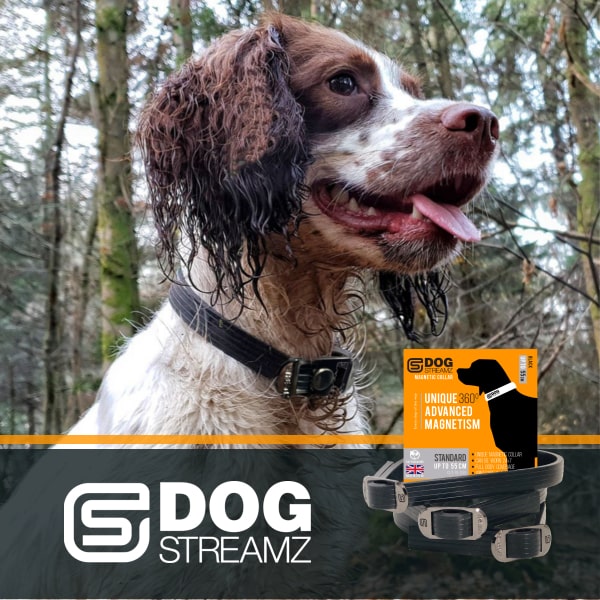 DOG StreamZ Magnetic Collars advanced magnetic collars for canine joint care and wellbeing. 