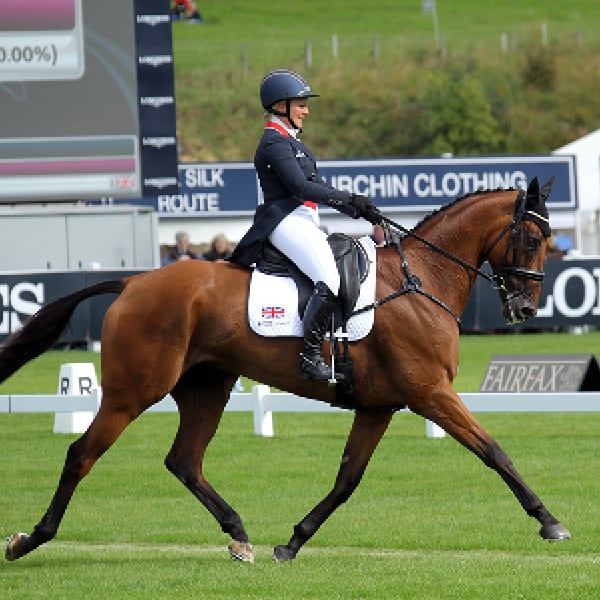 EQU StreamZ Magnetic Horse Bands | Natural Joint Care & Wellbeing