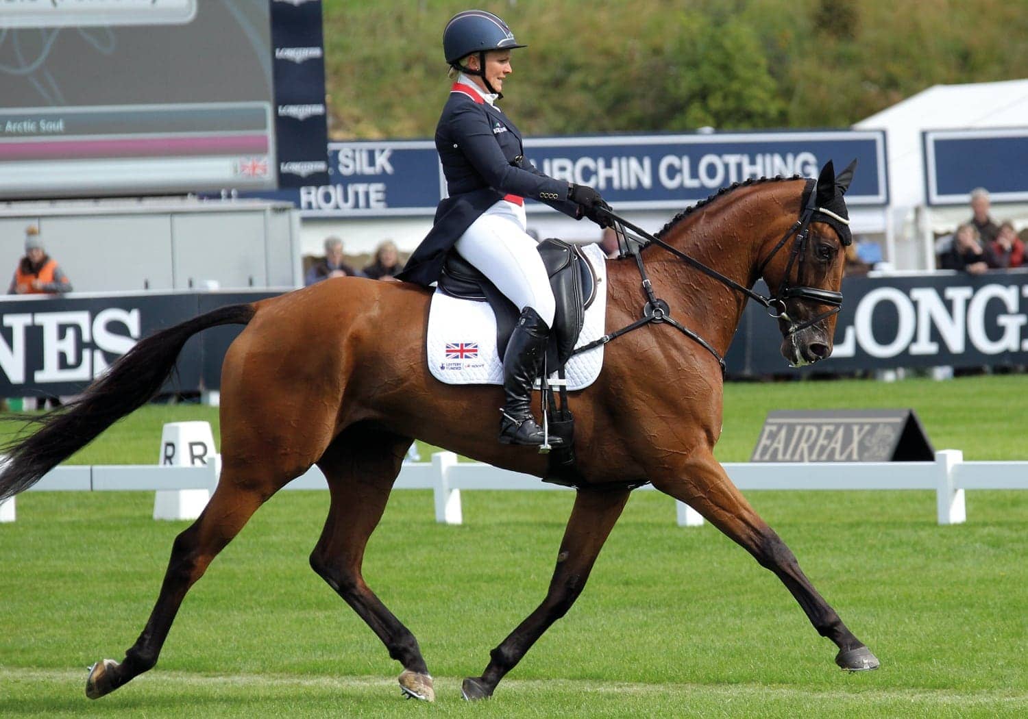 EQU-StreamZ-Magnetic-Horse-Bands-Gemma-Tattersall-and-horse-with-bands-on-for-recovery-rehabilitation-equ-streamz-review-600x600-image