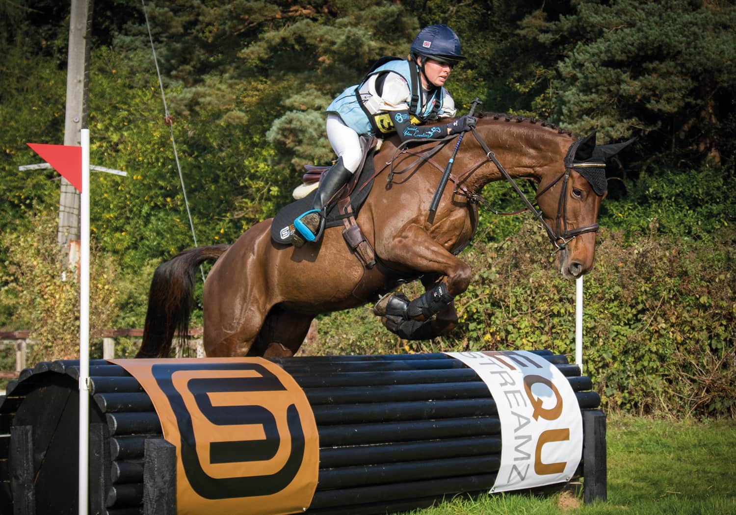 EQU Streamz magnetic horse bands joint care and wellbeing in horse and ponies. Pain relief and natural approach to support showjumping dressage eventing racing sports horses barrel racing roping rodeo and much more. harriet Upton 3 day eventing Queen.
