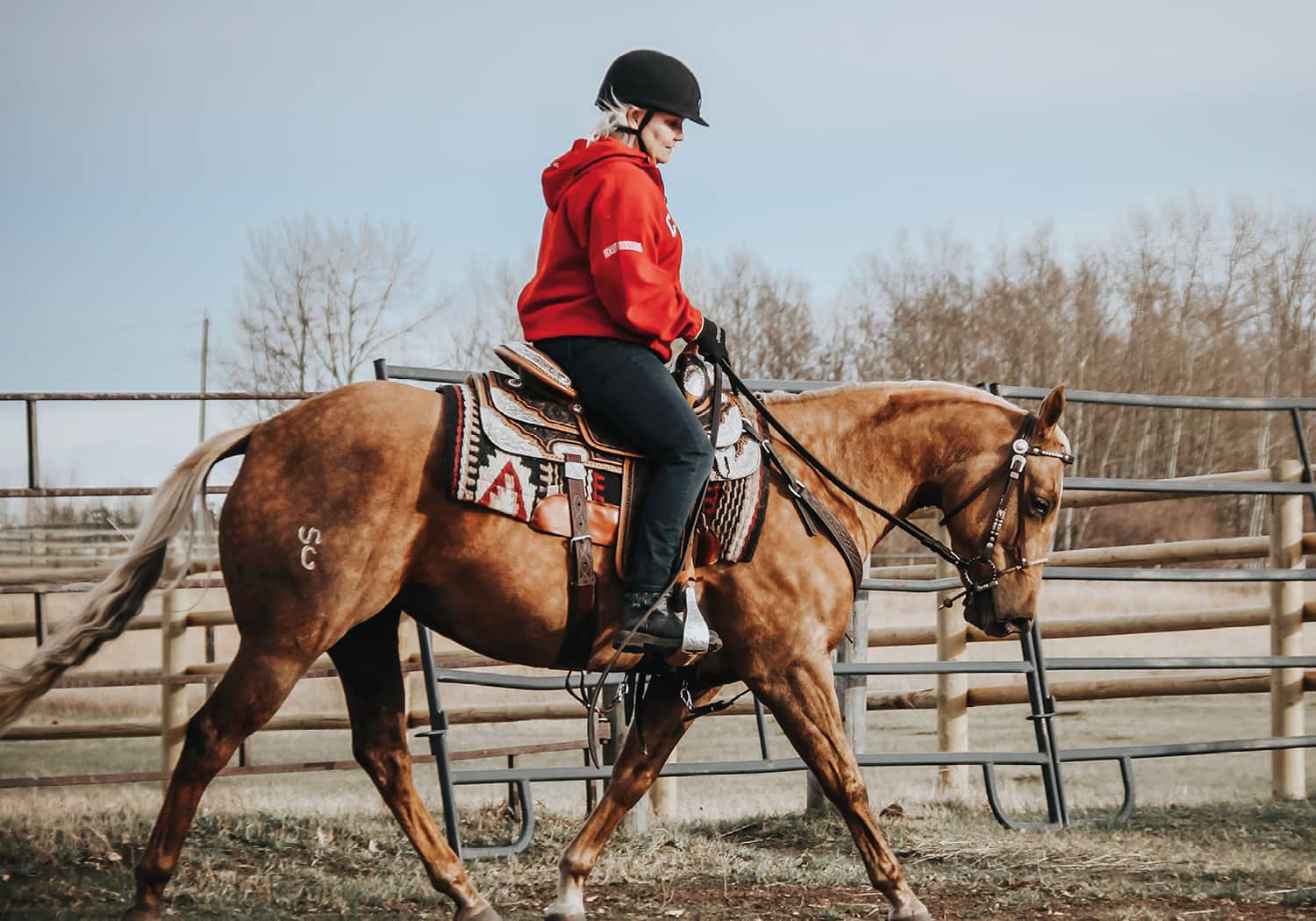 EQU Streamz magnetic horse bands joint care and wellbeing in horse and ponies. Pain relief and natural approach to support showjumping dressage eventing racing sports horses barrel racing roping rodeo and much more. Julie Moorcroft Image.