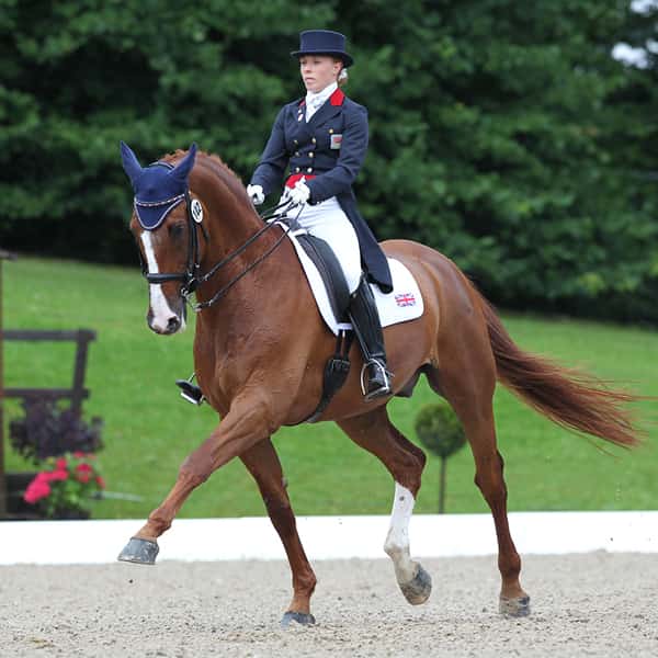 EQU StreamZ magnetic bands review from dressage superstar Sophie Wells MBE.I have seen more than a few improvements in several of our horses wearing the EQU StreamZ bands, and I wear the YOU StreamZ human band myself.