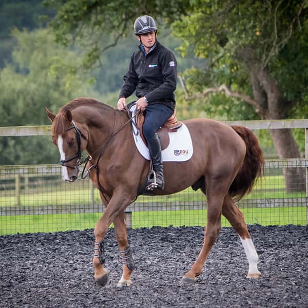 EQU-StreamZ-Magnetic-Horse-Bands-Sophie-wells-and-horse-with-bands-on-for-recovery-rehabilitation-equ-streamz-review-600x600-image