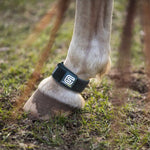EQU Streamz fetlock bands image of pair of magnetic therapy bands for horses, use through turnout and 24x7 for pain relief and recovery, joint care and wellbeing. Out now in USA and suitable for barrel racing showjumping eventing dressage rodeo and more.