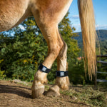 EQU Streamz fetlock bands image of pair of magnetic therapy bands worn outside for turnout, for horses pain relief and recovery, joint care and wellbeing. Out now in USA and suitable for barrel racing showjumping eventing dressage rodeo and more.