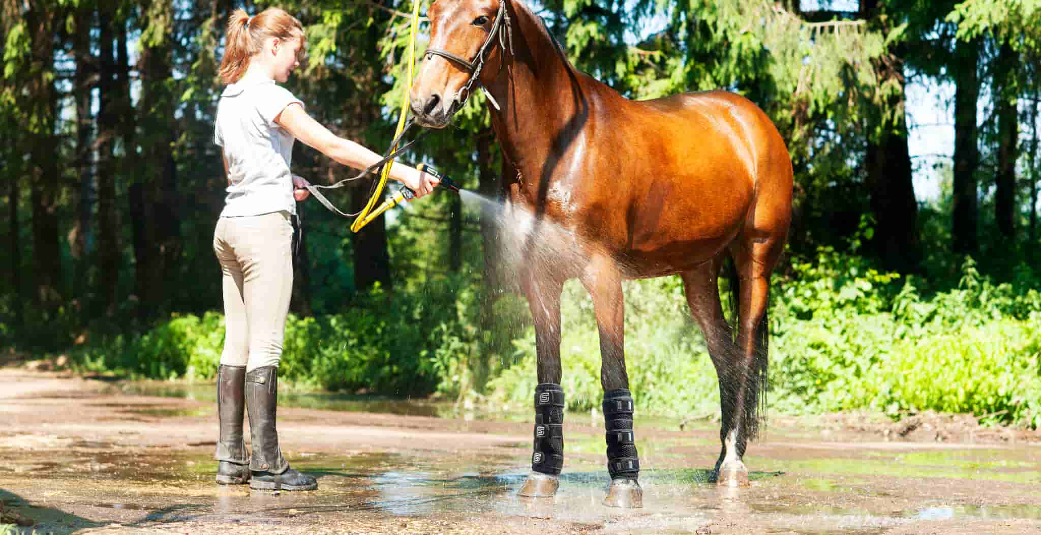 EQU StreamZ Coolboots being hosed with water for cooling of horses legs