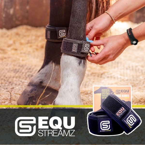 Advanced Magnetic bands for horses, equ streamz horse bands for pain relief and joint care in horse and ponies