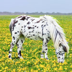 EQU Streamz Reflective magnetic horse bands turnout strips which are reflective badges for long term turnout