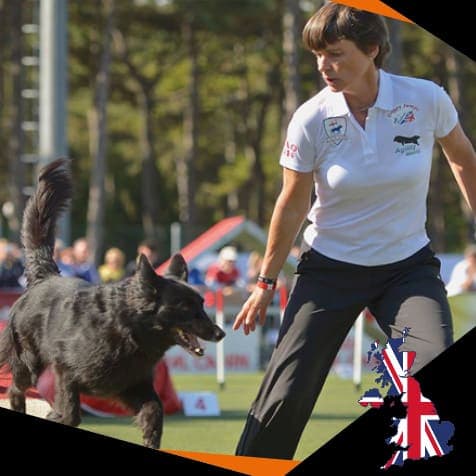 Bridgitte Wyre. DOG StreamZ Endorsed for recovery and rehabilitation as well as joint care and wellbeing. Magnetic dog collars used by leading dog agility handlers across the world who use the streamz advanced magnetic collars on their agility dogs.