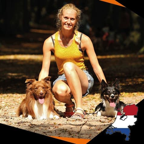 Susan Koldenhof. DOG StreamZ Endorsed for recovery and rehabilitation as well as joint care and wellbeing. Magnetic dog collars used by leading dog agility handlers across the world who use the streamz advanced magnetic collars on their agility dogs.
