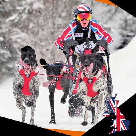 Vickie Pullin. DOG StreamZ Endorsed for recovery and rehabilitation as well as joint care and wellbeing. Magnetic dog collars used by leading dog agility handlers across the world who use the streamz advanced magnetic collars on their agility dogs.