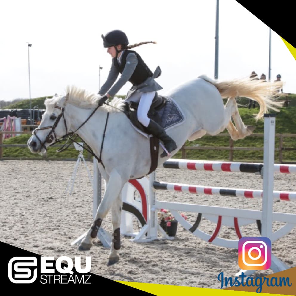 EQU StreamZ Friends Image. Friends who endorse the magnetic horse bands whether for mobility, inflammation, energy levels, pain relief, windgalls, navicular, arthritis or for daily joint care and wellbeing.