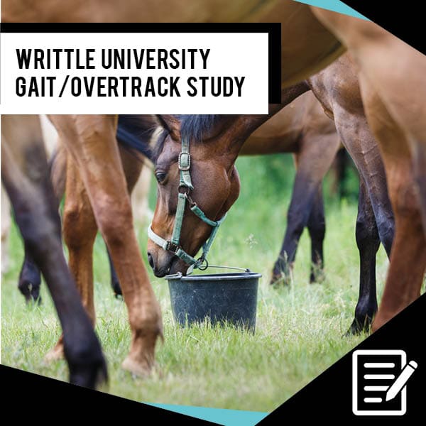 EQU StreamZ Magnetic Bands study image. Each horse was evaluated using industry leading technologies on their overtrack performance (gait analysis) and the correlation between the use of StreamZ technology and an improvement in gait. 