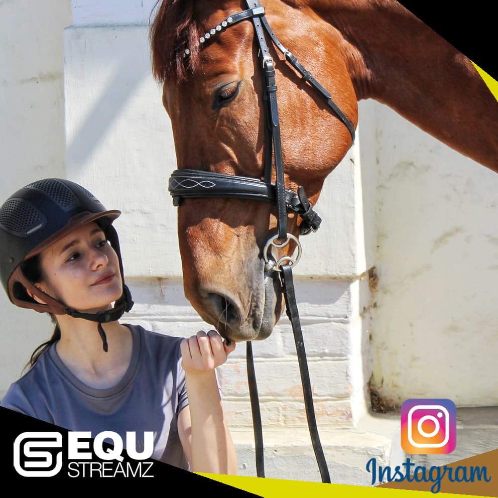 Valeria Vrabii. EQU StreamZ Friends Image. Friends who endorse the EQU StreamZ Advanced magnetic horse bands whether for mobility, inflammation, energy levels, pain relief, windgalls, navicular, arthritis or for daily joint care and wellbeing.